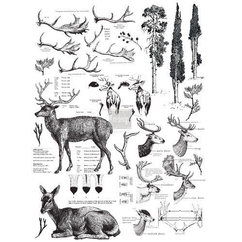 Redesign Decoratie transfers - Deer - size 58,42 cm x 83,82 cm