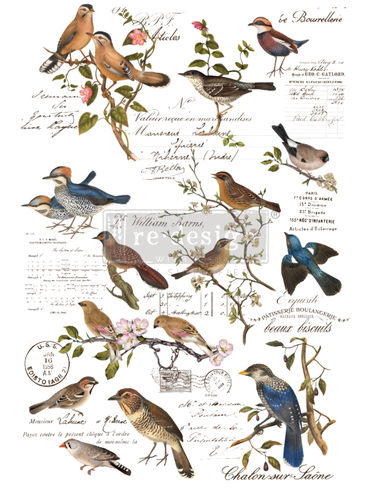 Redesign Decoratie transfers - Postal Birds - size 60,96 cm x 88,90 cm, cut into 3 sheets